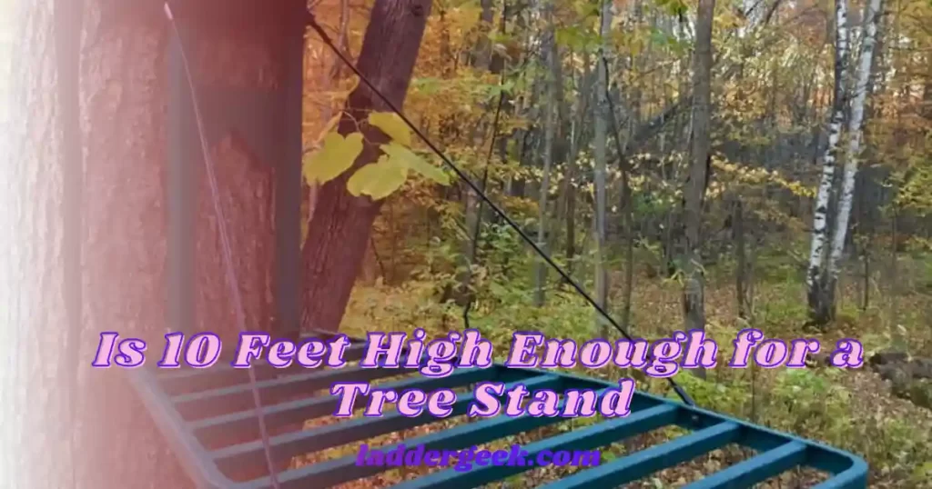 Is 10 Feet High Enough for a Tree Stand