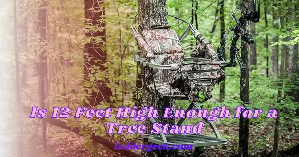 Is 12 Feet High Enough for a Tree Stand