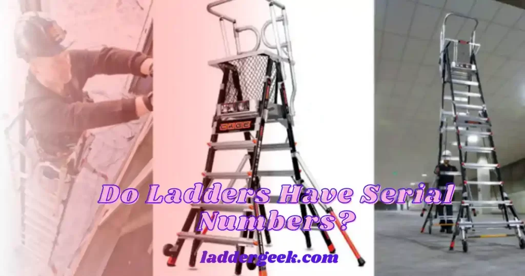 Do Ladders Have Serial Numbers