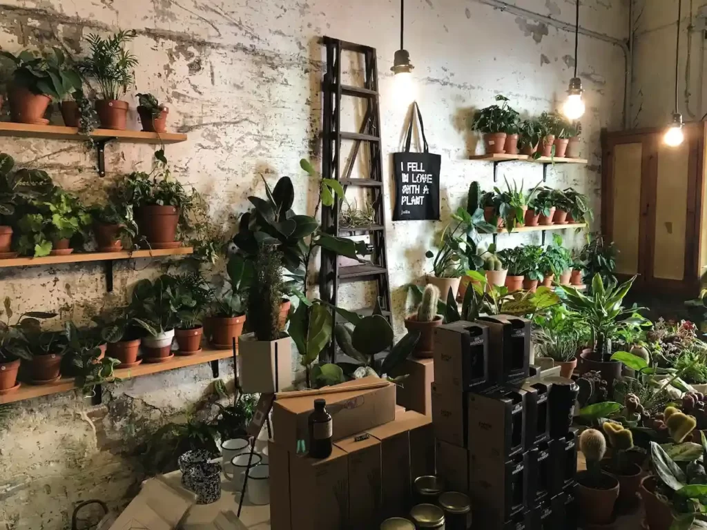 A ladder inside an indoor garden.