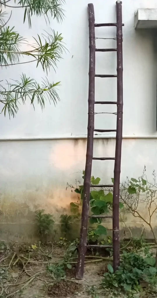 Wooden Ladder