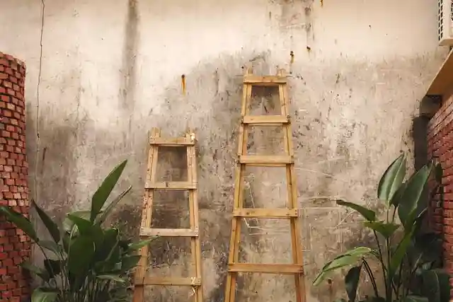 ladders in the garden